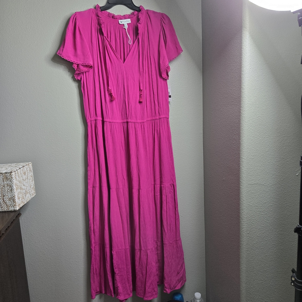 Jessica Simpson Vibrant Pink Maxi Dress